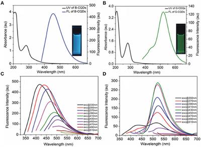 A Perspective on Application of Carbon Quantum Dots in Luminescence Immunoassays